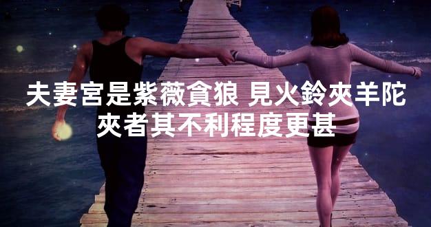 夫妻宮是紫薇貪狼 見火鈴夾羊陀夾者其不利程度更甚